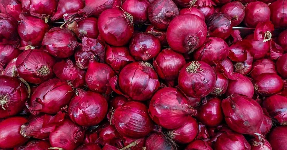 onion India Removed Minimum Export Price on Onions and Basmati Rice: What It Means for Farmers and Exporters
