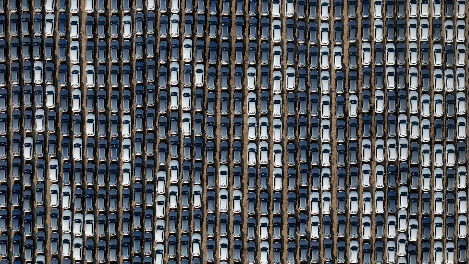 Car Buyers Seeking Both Luxury and Sustainable Mobility Options Survey jpg Car Buyers Seeking Both Luxury and Sustainable Mobility Options: Survey .