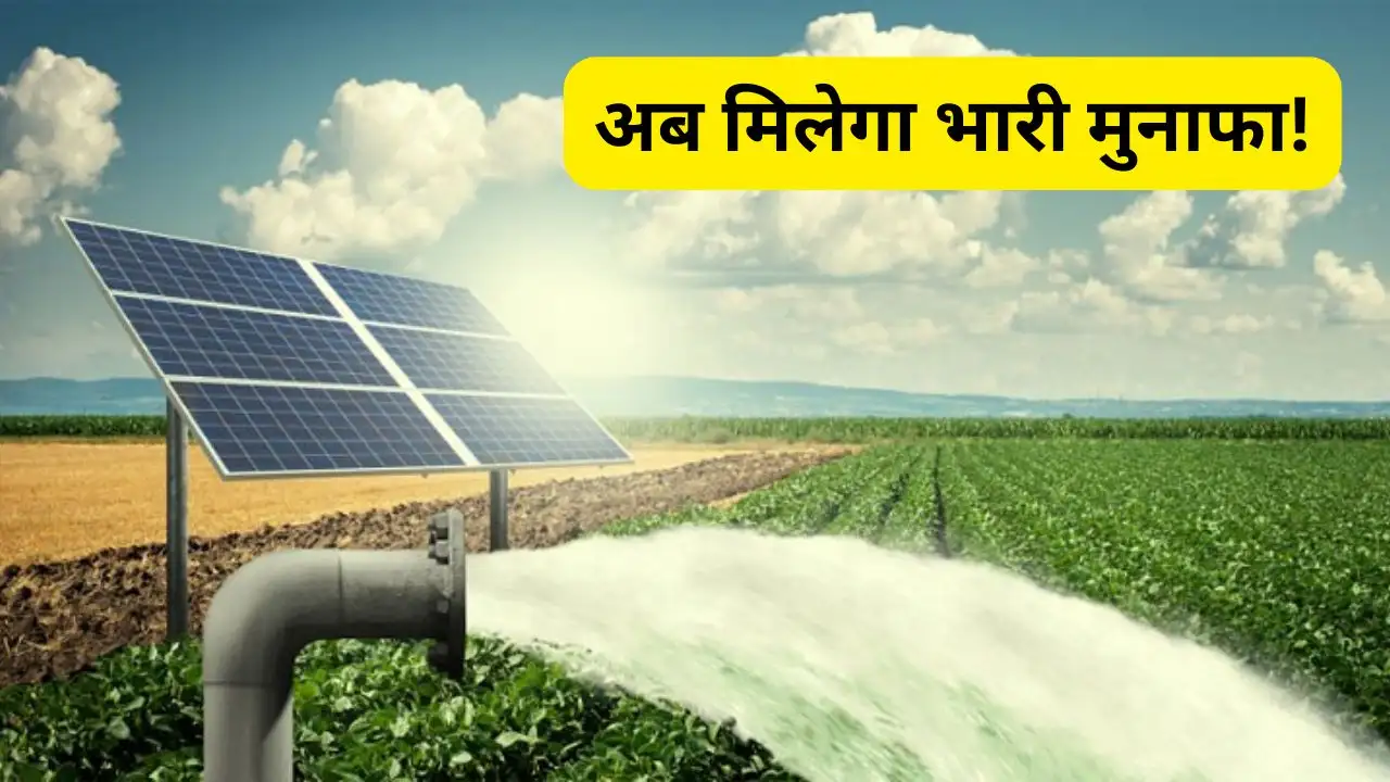 Keep these things in mind before applying for PM Kusum Keep these things in mind before applying for PM Kusum Yojana, know how much profit you will get