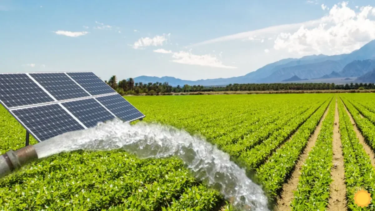 Is this solar pump manufacturing company giving huge profits to Is this solar pump manufacturing company giving huge profits to investors? View full details