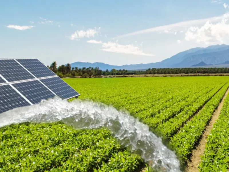 Is this solar pump manufacturing company giving huge profits to Is this solar pump manufacturing company giving huge profits to investors? View full details