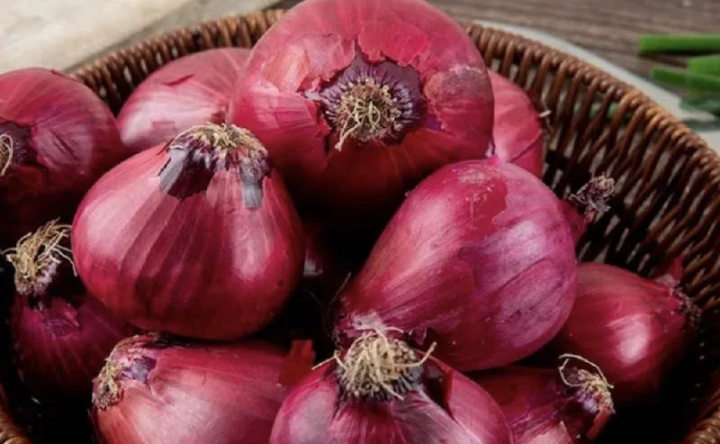 Kanda Express Delivers 1400 Tons of Onions from Nashik to Delhi to Stabilize Market Prices.