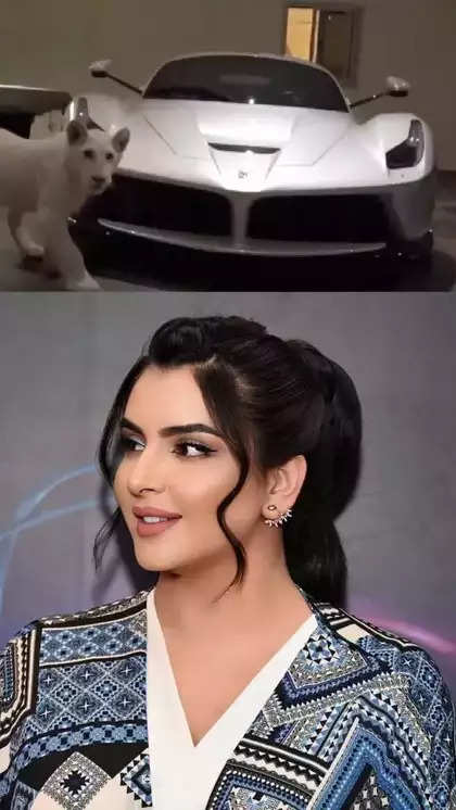 dc2319f4275fd1ace714eff463e8cbe6.webp You will be stunned to see the luxury car collection of Dubai Princess.