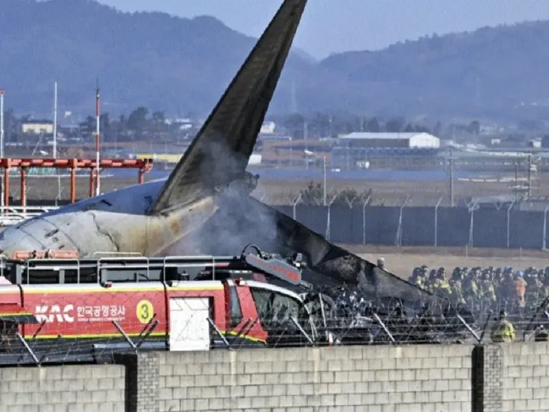 jeju air crash Bird Hit and Plane Crashed. 179 People Dead. Year End Very Big Sad News Arrived.