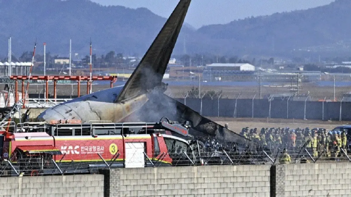 jeju air crash Bird Hit and Plane Crashed. 179 People Dead. Year End Very Big Sad News Arrived.