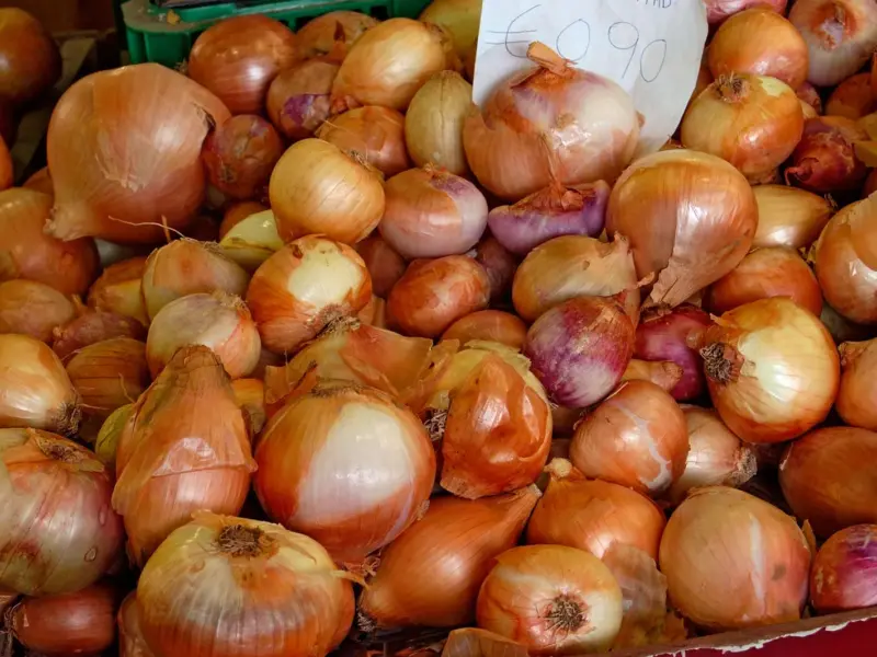 Onion Price crashed in delhi Onion Prices Crash to ₹7–₹14 per Kg in Delhi Markets as Supply Doubles Amid Monsoon Harvest