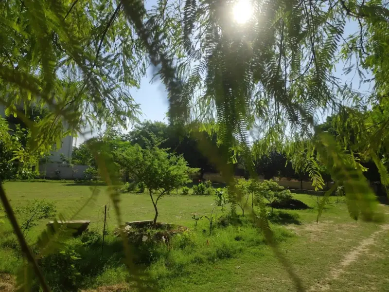 sadbhawna park delhi Delhi Got Suddhawana Park. DDA Gifted Citizens Better Place to Enjoy in 11 Acres.