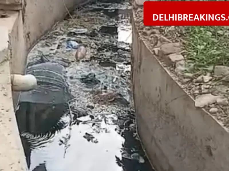 delhibreakings delhi high court notice sdm saket fatehpur beri drainage issue Delhi High Court Issues Strict Notice to SDM Saket Over Fatehpur Beri Drain, 70 Acres Land Submerged