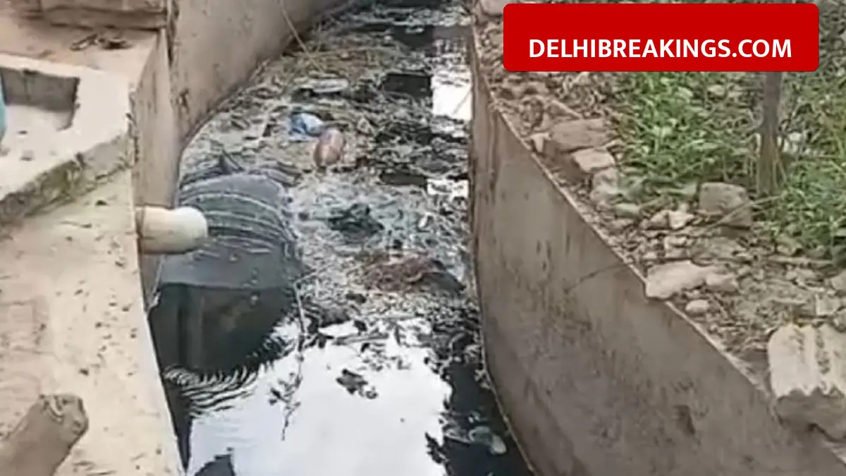 delhibreakings delhi high court notice sdm saket fatehpur beri drainage issue Delhi High Court Issues Strict Notice to SDM Saket Over Fatehpur Beri Drain, 70 Acres Land Submerged