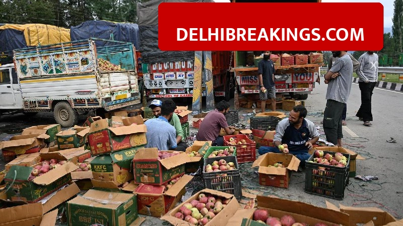 delhibreakings apple farmers protest parliament march us import duty cut Apple Farmers to Hold Big Protest Outside Parliament in March, Demand Protection Against US Imports