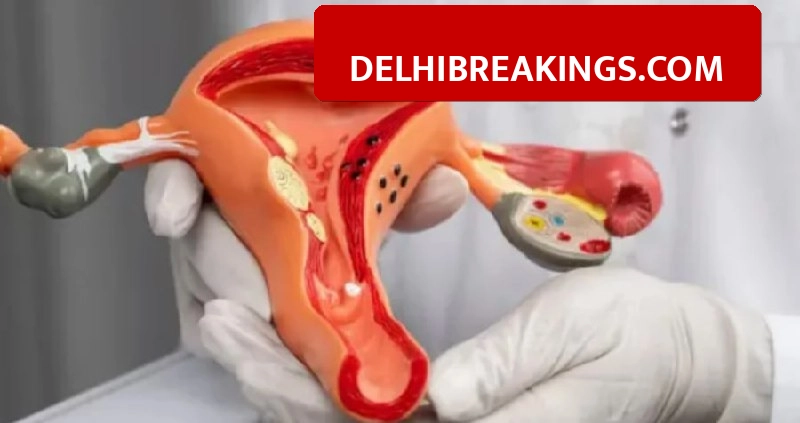 delhibreakings cm yogi free hpv vaccine cervical cancer up gautam buddha nagar CM Yogi's Big Gift for Girls, Free Cervical Cancer Vaccine Drive to Start Soon in UP