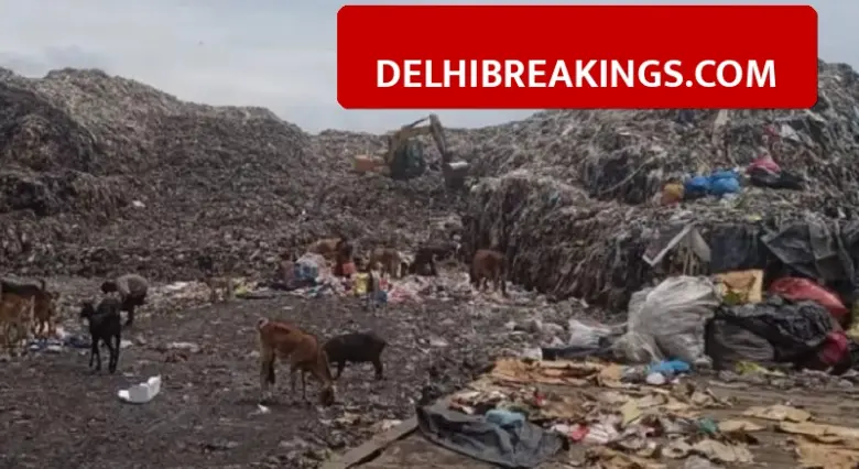 delhibreakings delhi waste management rules 2026 new guidelines mcd landfill deadlines Delhi Waste Management Rules 2026: Segregation into 4 categories mandatory from April 1