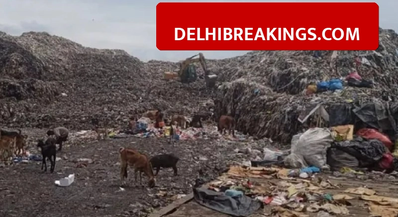 delhibreakings delhi waste management rules 2026 new guidelines mcd landfill deadlines Delhi Waste Management Rules 2026: Segregation into 4 categories mandatory from April 1
