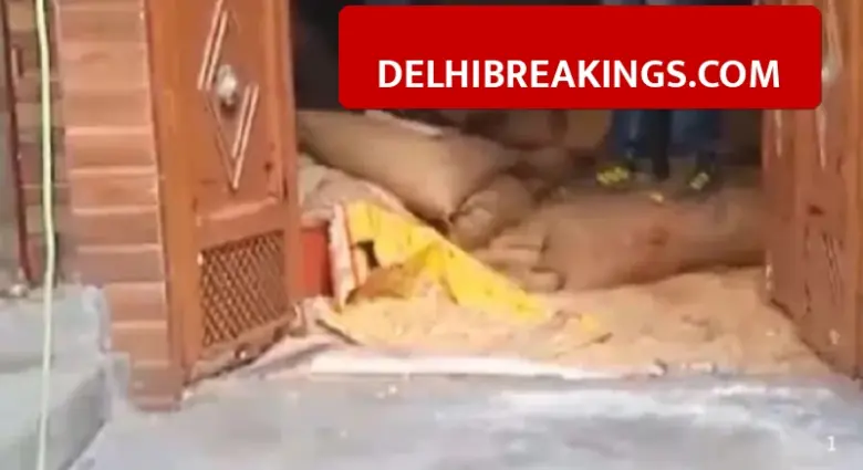 delhibreakings east delhi nand nagri rotten grain removal ration shop East Delhi Ration Shop Cleanup Begins, 15,000 Kg Rotten Grain Being Removed After Public Outcry