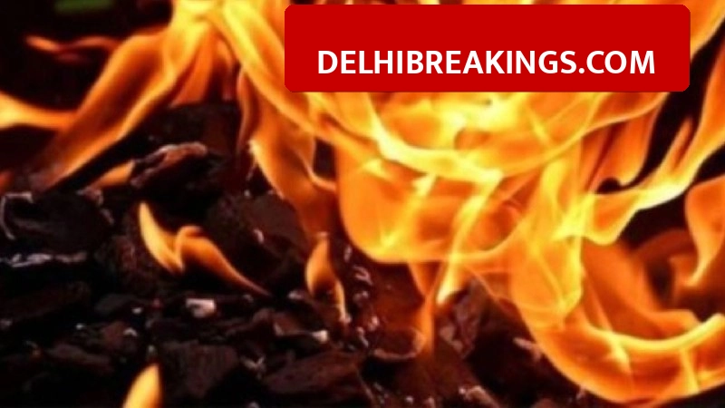 delhibreakings faridabad fire news eros garden society charmwood village updates Faridabad Fire News: Fire Breaks Out at Eros Garden Society, 6 Fire Tenders Control Situation in 1 Hour
