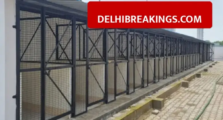 delhibreakings gurugram first abc center begampur khatola march stray dog control Gurugram First ABC Center to Open in March, 50,000 Stray Dogs to be Sterilized to Stop Biting Incidents