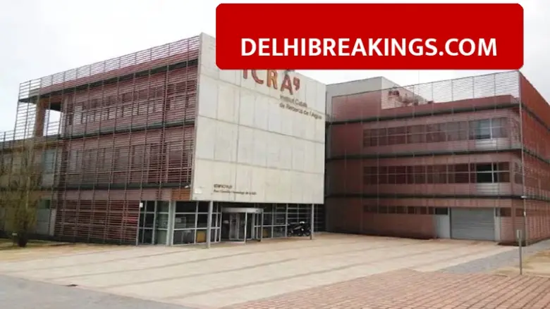 delhibreakings icra limited q3 results revenue growth new ceo analytics ICRA Revenue Jumps 35% in Q3 Results, New CEO Takes Charge at Analytics Arm