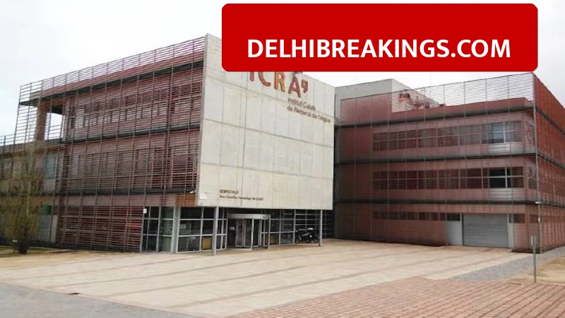 delhibreakings icra limited q3 results revenue growth new ceo analytics ICRA Revenue Jumps 35% in Q3 Results, New CEO Takes Charge at Analytics Arm