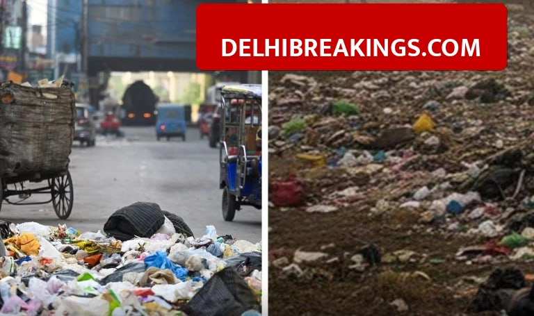 delhibreakings manesar municipal corporation garbage rules landlord fine Manesar Landlords to Pay Fine if Tenants Throw Garbage in Open, MCM Issues Sealing Warning