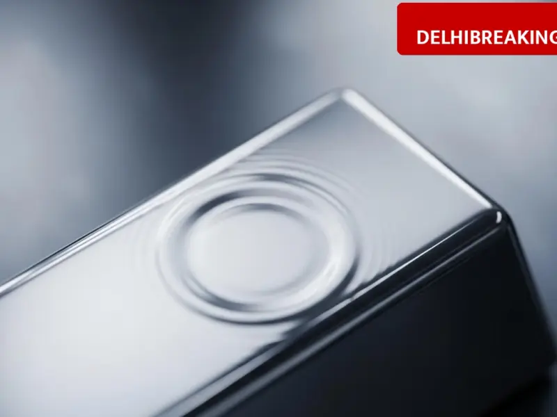 delhibreakings silver price crash prediction expert analysis mcx rate february 2026 Silver Price Alert: Experts Warn of 80% Crash, MCX Rate Drops to 2.85 Lakh