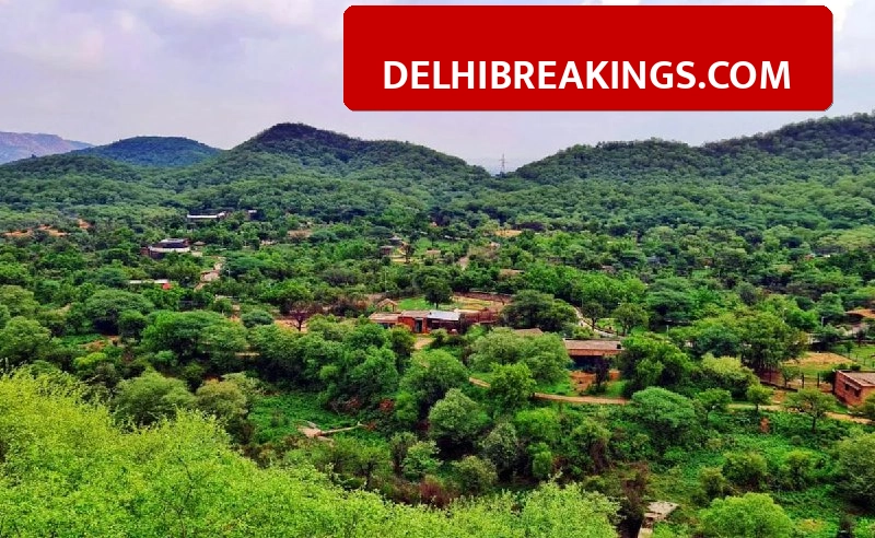 delhibreakings supreme court rejects haryana aravalli safari project environmental concerns Supreme Court Stops 1000 Crore Aravalli Safari Project, Orders Zero Tolerance on Environment