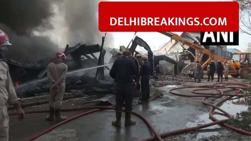 delhibreakings delhi tikri warehouse fire netaji subhash vihar updates Tikri Warehouse Fire: 15 Fire Tenders Deployed in Netaji Subhash Vihar to Control Massive Blaze