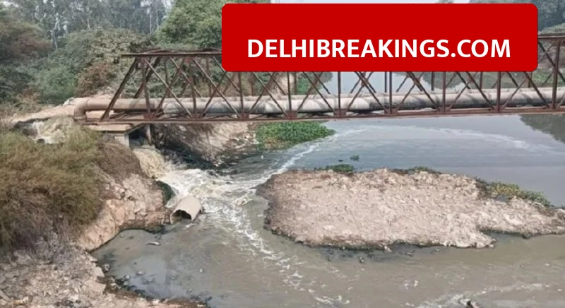 delhibreakings faridabad 3 new cetp plants approved budget 927 crore Faridabad News: Govt Approves 927 Crore for 3 New Water Treatment Plants to Help Industries