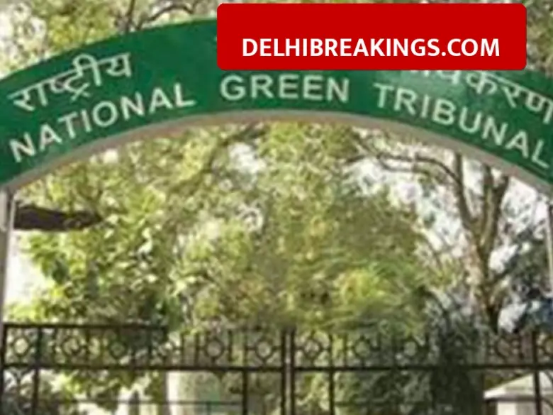 delhibreakings ngt orders immediate halt to illegal yamuna sand mining in shamli NGT Orders Immediate Stop to Illegal Sand Mining in Yamuna, Shamli Authorities on Alert