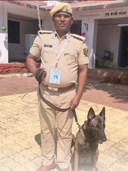 delhibreakings bihar police dog lily gold medal nagpur duty meet Bihar Police Dog Lily Wins Gold Medal at 69th All India Police Duty Meet in Nagpur