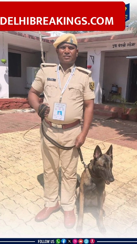 delhibreakings bihar police dog lily gold medal nagpur duty meet Bihar Police Dog Lily Wins Gold Medal at 69th All India Police Duty Meet in Nagpur