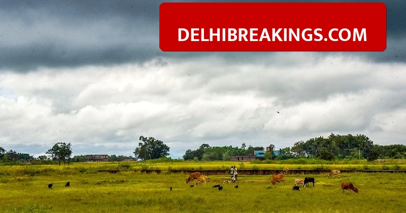 delhibreakings delhi ncr weather update rain hailstorm alert till april 8 Delhi-NCR Weather Alert: IMD Issues Orange Alert as Rain and Hailstorm Predicted Till April 8